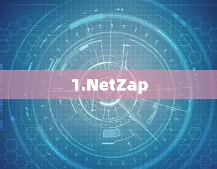 1.NetZap