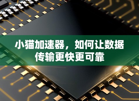 小猫加速器，如何让数据传输更快更可靠