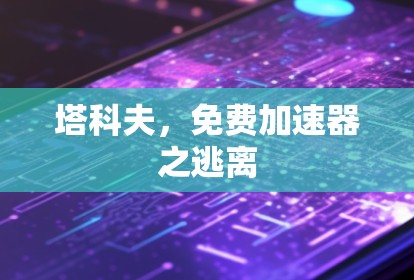 塔科夫，免费加速器之逃离