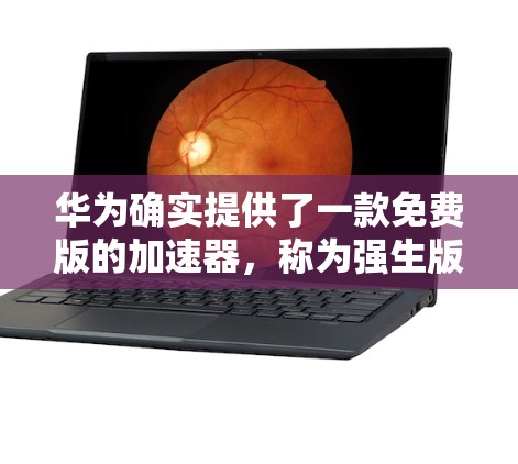 华为确实提供了一款免费版的加速器，称为强生版，但必须在特定条件下使用。以下是我在下载和使用华为强生版加速器时的步骤和注意事项