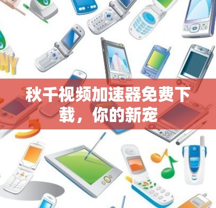 秋千视频加速器免费下载，你的新宠