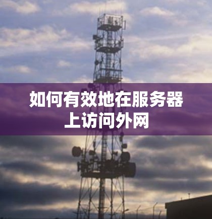 如何有效地在服务器上访问外网