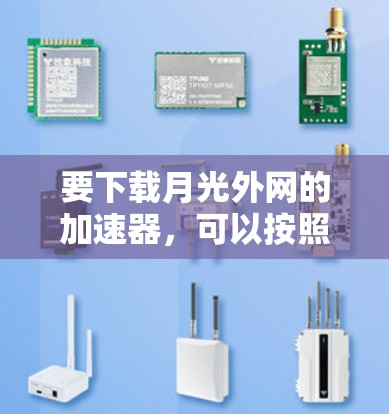 要下载月光外网的加速器，可以按照以下步骤进行