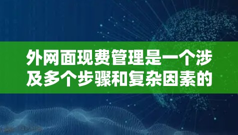 外网面现费管理是一个涉及多个步骤和复杂因素的流程，以下是一步步的指南，帮助您理解和管理外网面现费