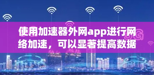 使用加速器外网app进行网络加速，可以显著提高数据传输速度，但需要注意以下几点