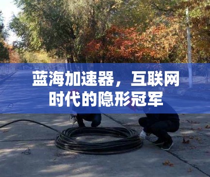 蓝海加速器,互联网时代的隐形冠军 蓝海加速器,互联网时代的隐形冠军