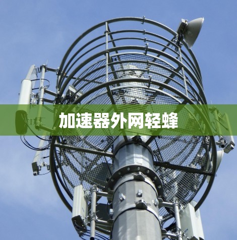 加速器外网轻蜂 加速器外网轻蜂