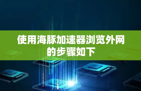 使用海豚加速器浏览外网的步骤如下