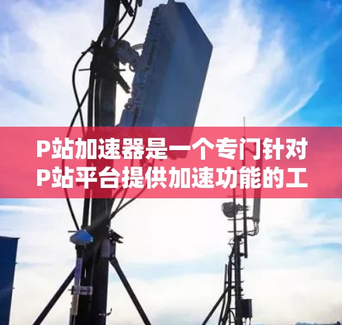 P站加速器是一个专门针对P站平台提供加速功能的工具，帮助用户在P站上获得更快的视频加载速度和资源。以下是对P站加速器的详细介绍