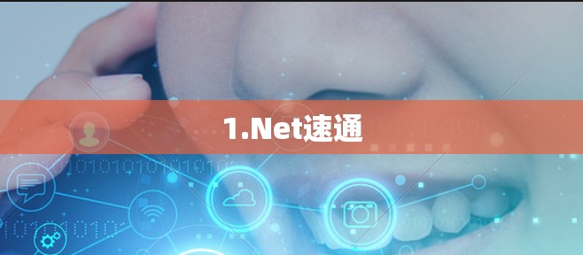 1.Net速通 1.Net速通
