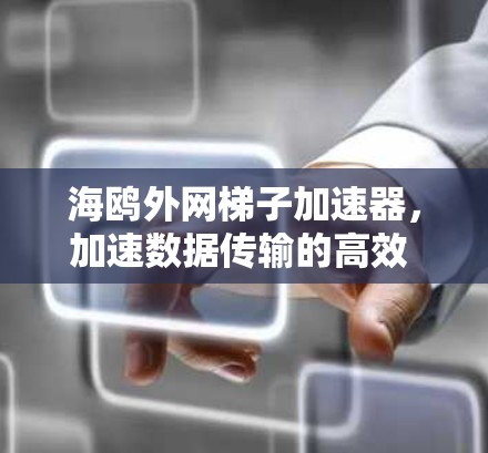 海鸥<strong>外网梯子</strong>加速器，加速数据传输的高效 routes