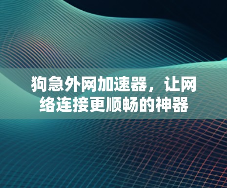 狗急外网加速器，让网络连接更顺畅的神器