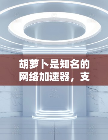 胡萝卜是知名的网络加速器,支持用户在本地安装并连接到外部网络,从而获得更快的网络速度。胡萝卜网络加速器通过流量管理、自动加速等技术,帮助用户提升网络使用效率 胡萝卜是知名的网络加速器,支持用户在本地安装并连接到外部网络,从而获得更快的网络速度。胡萝卜网络加速器通过流量管理、自动加速等技术,帮助用户提升网络使用效率