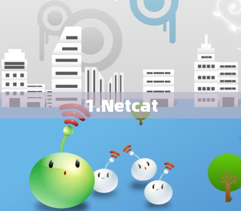 1.Netcat