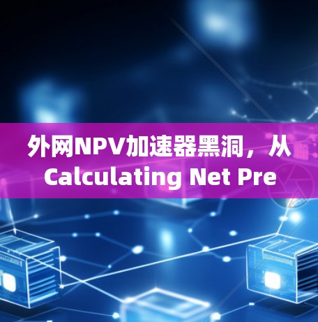 外网NPV加速器黑洞，从Calculating Net Present Value到黑洞的终极挑战