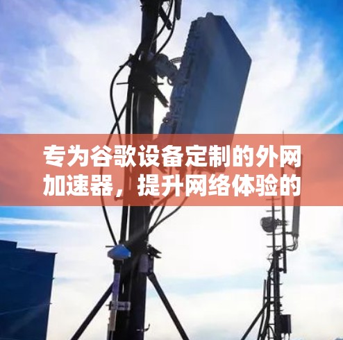 专为谷歌设备定制的外网加速器，提升网络体验的高效解决方案