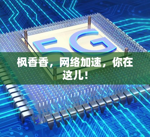 枫香香,网络加速,你在这儿! 枫香香,网络加速,你在这儿!