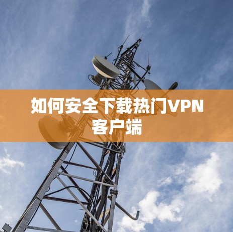 如何安全下载热门VPN客户端