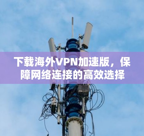下载海外VPN加速版,保障网络连接的高效选择 下载海外VPN加速版,保障网络连接的高效选择
