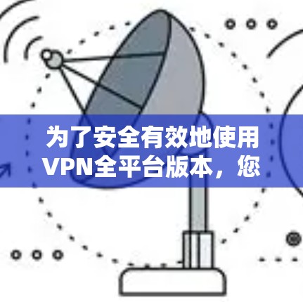 为了安全有效地使用VPN全平台版本，您可以按照以下步骤操作