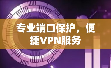 专业端口保护，便捷VPN服务