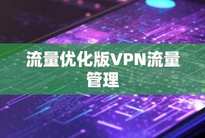 流量优化版VPN流量管理