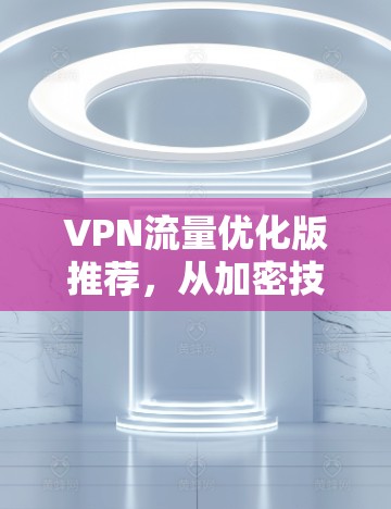 VPN流量优化版推荐，从加密技术到分布式计算，为您的流量保驾护航