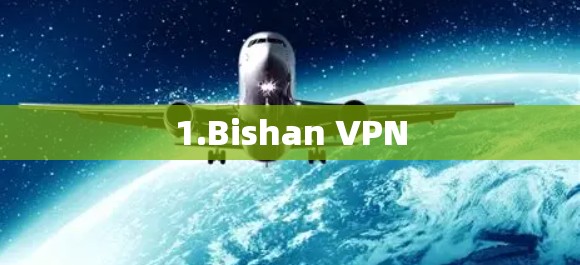 1.Bishan VPN