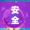 安全VPN安装指南