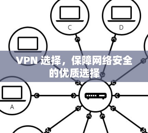 VPN 选择，保障网络安全的优质选择
