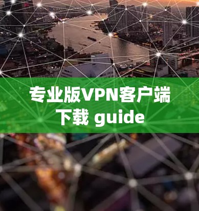 专业版VPN客户端下载 guide