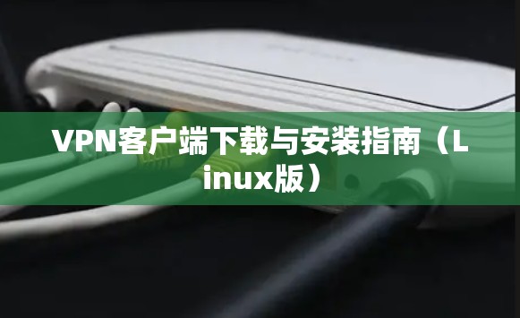 VPN客户端下载与安装指南（Linux版）