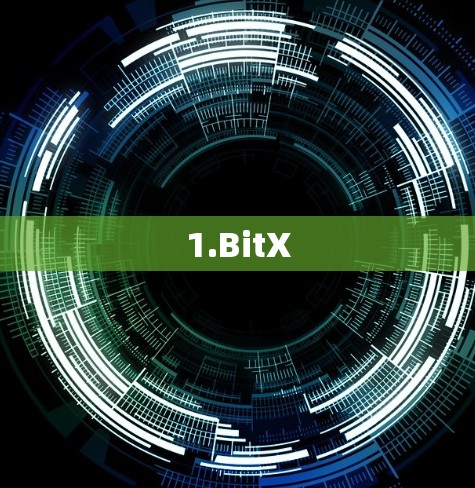 1.BitX