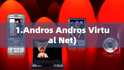 1.Andros Andros Virtual Net)