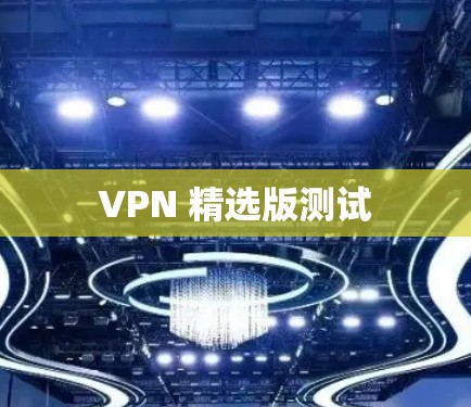 VPN 精选版测试