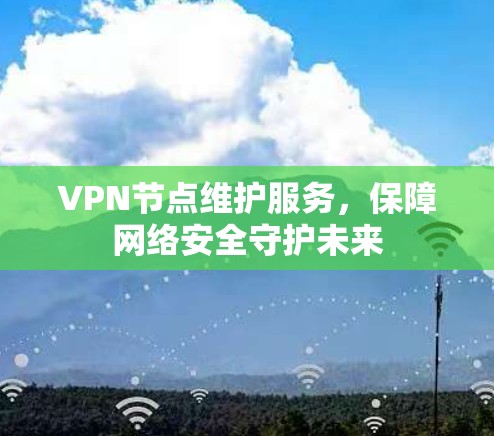VPN节点维护服务，保障网络安全守护未来