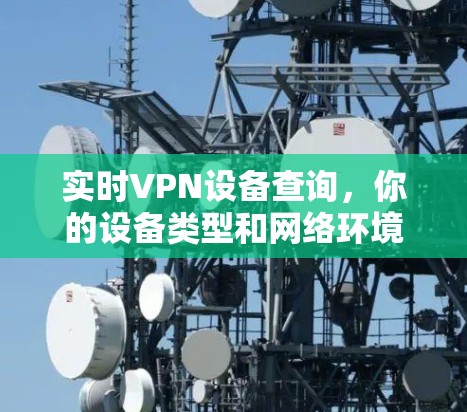 实时VPN设备查询，你的设备类型和网络环境决定了速度