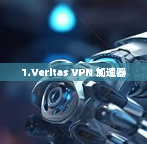 1.Veritas VPN 加速器