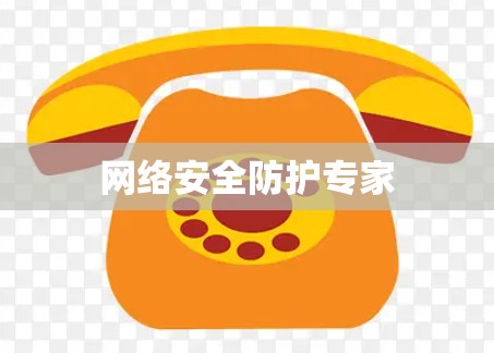 网络安全防护专家