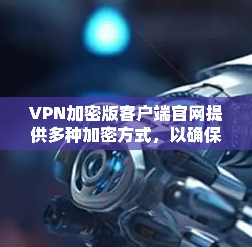 VPN加密版客户端官网提供多种加密方式，以确保数据安全和传输安全。以下是一些常见的加密方式和使用建议