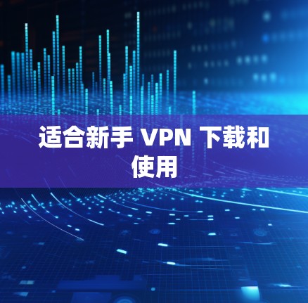适合新手 VPN 下载和使用 适合新手 VPN 下载和使用