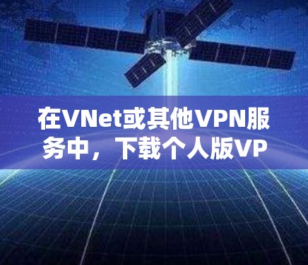 在VNet或其他VPN服务中，下载个人版VPN服务的步骤如下
