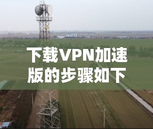 下载VPN加速版的步骤如下