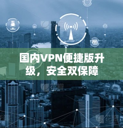 国内VPN便捷版升级，安全双保障