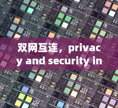 双网互连，privacy and security in a fixed IP VPN