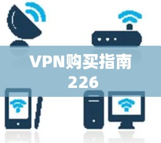 VPN购买指南 226