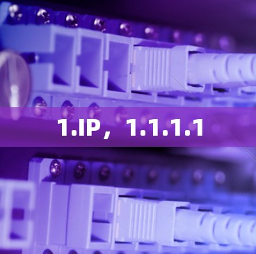 1.IP，1.1.1.1