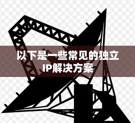 以下是一些常见的独立IP解决方案
