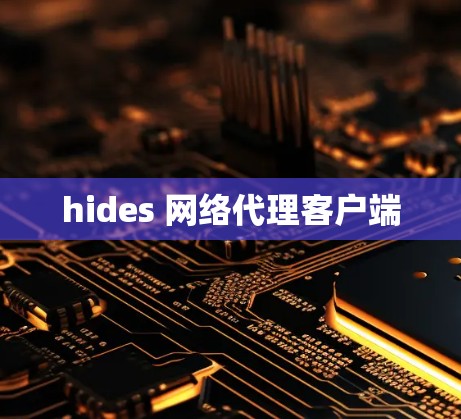 hides 网络代理客户端